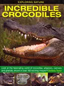 Explorando la naturaleza: Cocodrilos increíbles: Descubra el fascinante mundo de los cocodrilos, caimanes y ghariales en más de 180 emocionantes imágenes. - Exploring Nature: Incredible Crocodiles: Look at the Fascinating World of Crocodiles, Alligators, Caimans and Gharials, Shown in Over 180 Exciting Ima