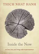 Dentro del ahora: Meditaciones sobre el tiempo - Inside the Now: Meditations on Time