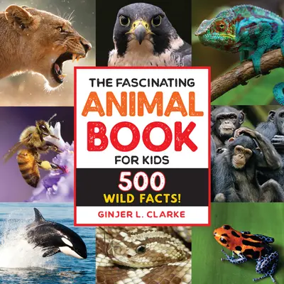 El fascinante libro de los animales para niños: ¡500 hechos salvajes! - The Fascinating Animal Book for Kids: 500 Wild Facts!