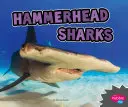 Tiburones martillo - Hammerhead Sharks