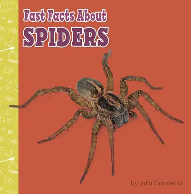 Curiosidades sobre arañas - Fast Facts about Spiders