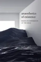 Anestesia de la existencia: Ensayos sobre la experiencia al límite - Anaesthetics of Existence: Essays on Experience at the Edge