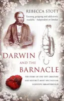Darwin y el percebe - Darwin and the Barnacle