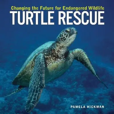 Rescate de tortugas: Cambiando el futuro de la fauna amenazada - Turtle Rescue: Changing the Future for Endangered Wildlife