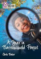 Collins Big Cat - Un año en el bosque de Barrowswold: Banda 15/Emerald - Collins Big Cat - A Year in Barrowswold Forest: Band 15/Emerald