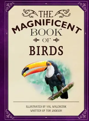 El magnífico libro de los pájaros - The Magnificent Book of Birds