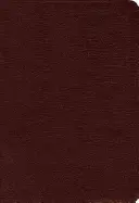 Biblia Amplificada-Am-Large Print: Captura todo el significado del original griego y hebreo. - Amplified Bible-Am-Large Print: Captures the Full Meaning Behind the Original Greek and Hebrew