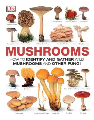 Setas: Cómo identificar y recolectar setas silvestres y otros hongos - Mushrooms: How to Identify and Gather Wild Mushrooms and Other Fungi