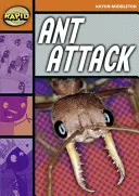 Lectura rápida: Ataque de hormigas (Etapa 4, Nivel 4B) - Rapid Reading: Ant Attack (Stage 4, Level 4B)