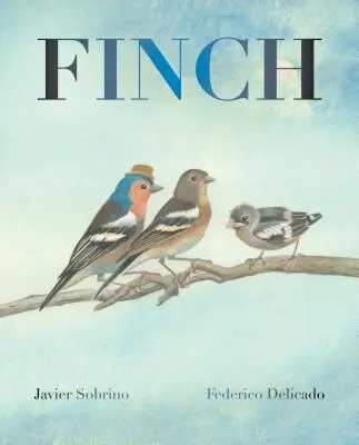 Pinzón - Finch