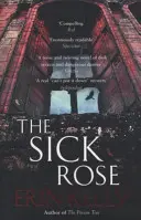 La rosa enferma - Sick Rose