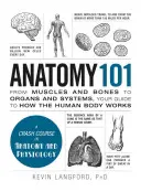 Anatomía 101: De los músculos y los huesos a los órganos y sistemas, su guía sobre el funcionamiento del cuerpo humano - Anatomy 101: From Muscles and Bones to Organs and Systems, Your Guide to How the Human Body Works