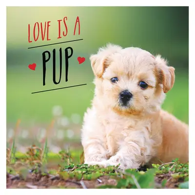 El amor es un cachorro: Una fantástica celebración canina de los cachorros más adorables del mundo - Love Is a Pup: A Dog-Tastic Celebration of the World's Cutest Puppies