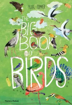 El gran libro de los pájaros - The Big Book of Birds