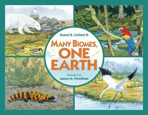 Muchos biomas, una Tierra Libro de consulta - Many Biomes, One Earth Trade Book