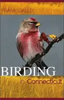 Observación de aves en Connecticut - Birding in Connecticut