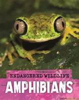 Fauna en peligro de extinción: Rescate de anfibios - Endangered Wildlife: Rescuing Amphibians