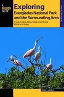 Explorando el Parque Nacional de los Everglades y sus alrededores: Guía para practicar senderismo, ciclismo, remo y avistamiento de fauna en la región - Exploring Everglades National Park and the Surrounding Area: A Guide to Hiking, Biking, Paddling, and Viewing Wildlife in the Region