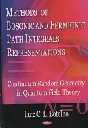 Métodos de representaciones integrales de trayectorias bosónicas y fermiónicas - Geometría aleatoria continua en la teoría cuántica de campos - Methods of Bosonic & Fermionic Path Integrals Representations - Continuum Random Geometry in Quantum Field Theory