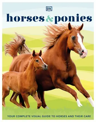 Caballos y ponis - Horses & Ponies