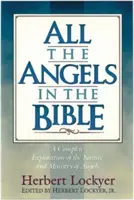 Todos los ángeles de la Biblia - All the Angels in the Bible