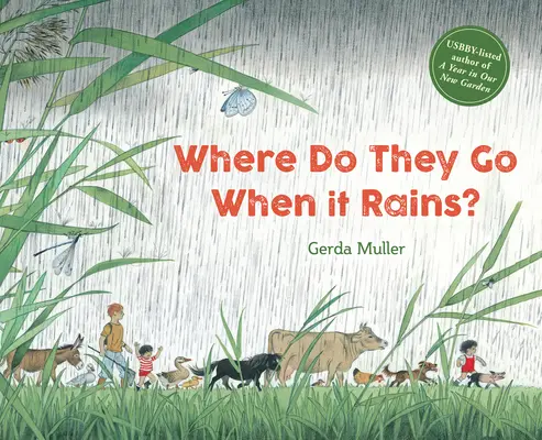 ¿Adónde van cuando llueve? - Where Do They Go When It Rains?