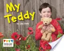 Mi osito - My Teddy