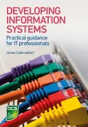 Desarrollo de sistemas de información: Guía práctica para profesionales de la informática - Developing Information Systems: Practical Guidance for It Professionals