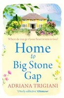 Hogar de Big Stone Gap - Home to Big Stone Gap