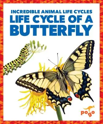 Ciclo de vida de una mariposa - Life Cycle of a Butterfly