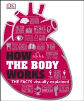 Cómo funciona el cuerpo - Los hechos simplemente explicados - How the Body Works - The Facts Simply Explained