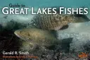 Guía de los peces de los Grandes Lagos - Guide to Great Lakes Fishes