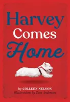 Harvey vuelve a casa - Harvey Comes Home