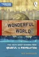 Un mundo maravilloso: Libro 1: Cinco sesiones para grupos de jóvenes desde el Génesis hasta el Apocalipsis - A A Wonderful World: Book 1: Five Youth Group Sessions from Genesis to Revelation