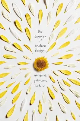 El verano de las cosas rotas - The Summer of Broken Things