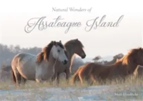 Maravillas naturales de la isla de Assateague - Natural Wonders of Assateague Island