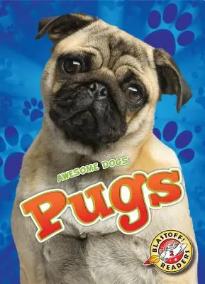 Carlinos - Pugs