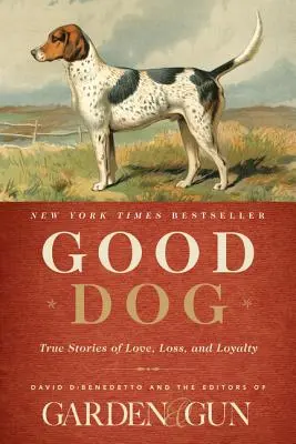 Buen perro: Historias reales de amor, pérdida y lealtad - Good Dog: True Stories of Love, Loss, and Loyalty