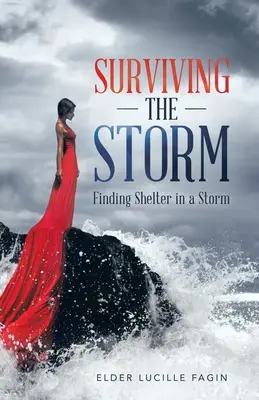 Sobrevivir a la tormenta: Encontrar refugio en la tormenta - Surviving the Storm: Finding Shelter in a Storm