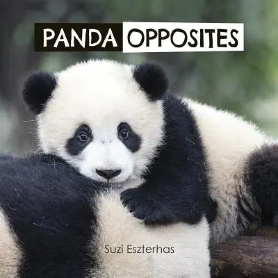 Los opuestos del panda - Panda Opposites