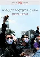 La protesta popular en China - Popular Protest in China