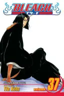 Bleach, Vol. 37, 37