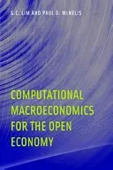 Macroeconomía computacional para la economía abierta - Computational Macroeconomics for the Open Economy