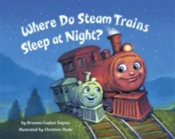 ¿Dónde duermen los trenes de vapor? - Where Do Steam Trains Sleep at Night?