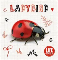 Mariquita - Ladybird