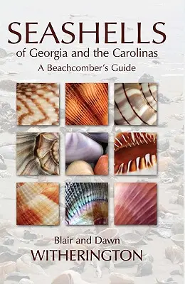 Conchas marinas de Georgia y las Carolinas: Guía del playero - Seashells of Georgia and the Carolinas: A Beachcomber's Guide