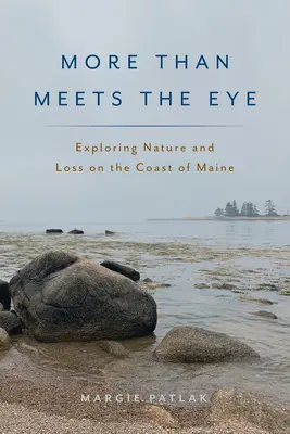 Más de lo que parece: Exploración de la naturaleza y la pérdida en la costa de Maine - More Than Meets the Eye: Exploring Nature and Loss on the Coast of Maine