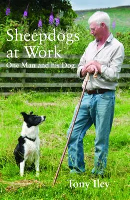 Sheepdogs at Work: Un hombre y sus perros - Sheepdogs at Work: One Man and His Dogs