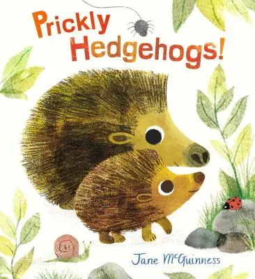 Erizos espinosos - Prickly Hedgehogs!