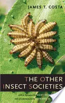 Las otras sociedades de insectos - The Other Insect Societies